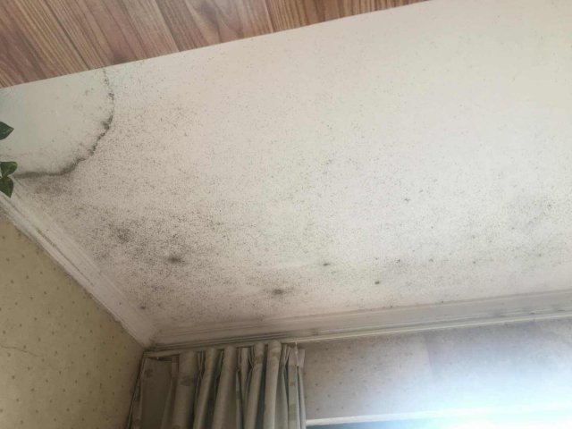 樓上陽(yáng)臺(tái)漏水不做防水漏到我家怎么辦 第4張