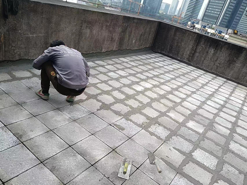 微信圖片_20240209205130.jpg