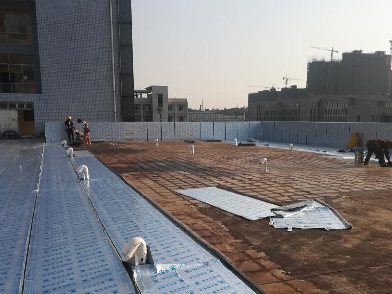 屋面卷材整體防水 二次排水排氣工藝